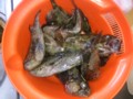 20140503221901