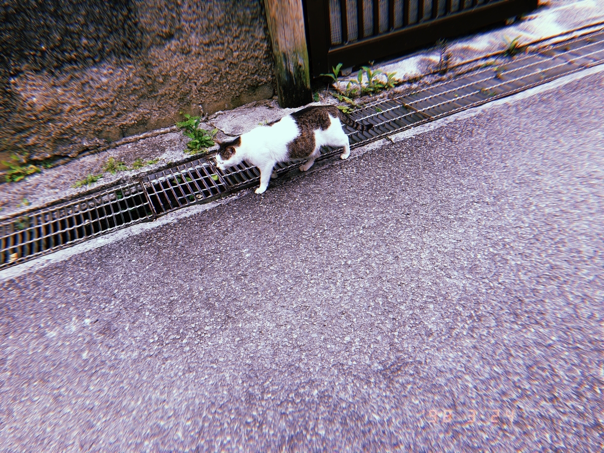 f:id:y-----uri117:20190413135908j:plain