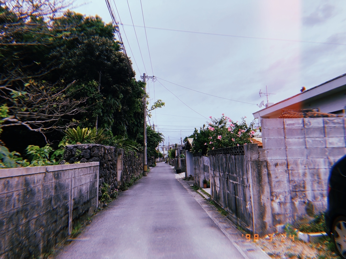 f:id:y-----uri117:20190413135923j:plain