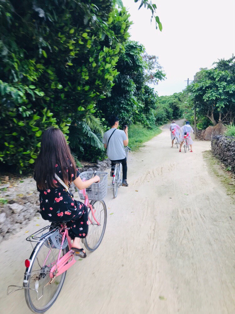 f:id:y-----uri117:20190420160350j:plain