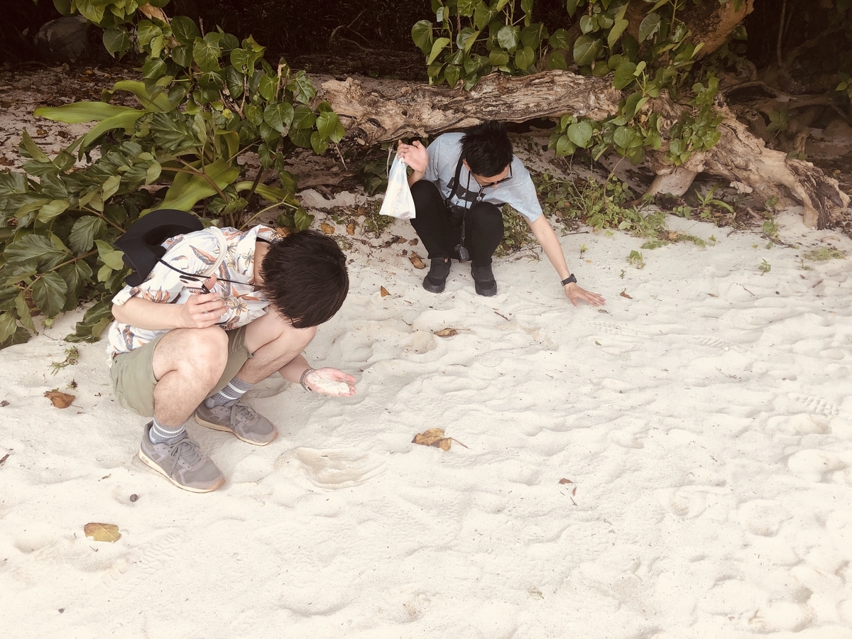 f:id:y-----uri117:20190420160415j:plain