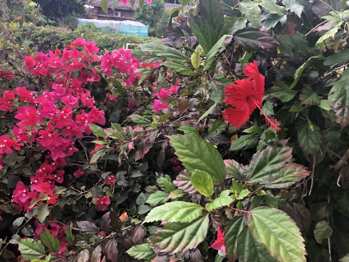 f:id:y-----uri117:20190420161837j:plain