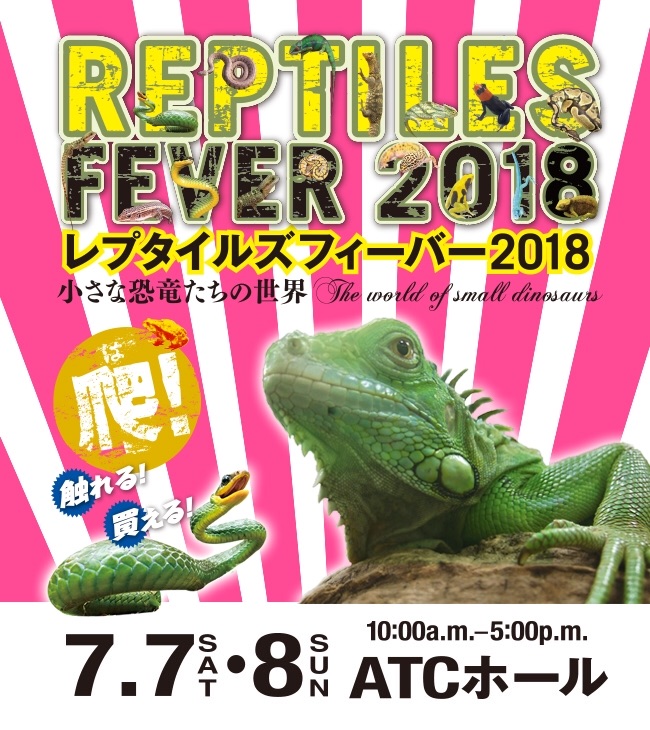 レプタイルズフィーバー アラサーol日々のメモ レプタイルズフィーバー アラサーol日々のメモ
