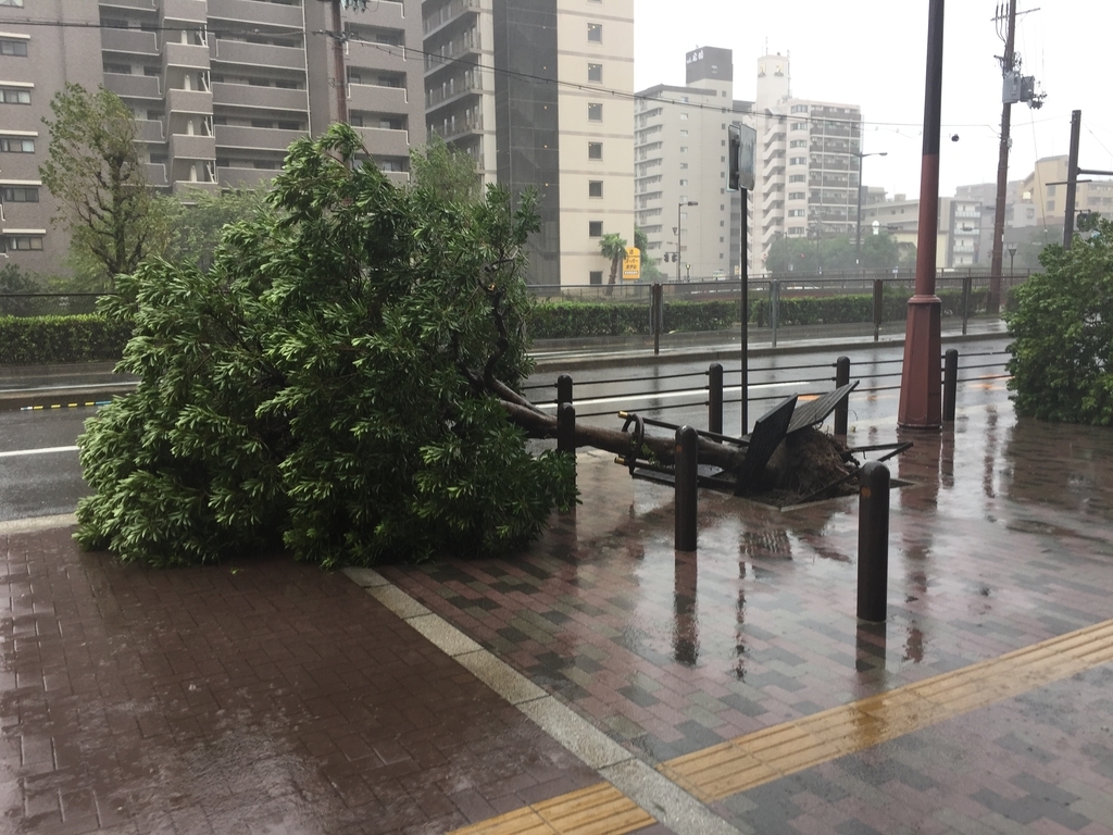 f:id:y-0711-yuuki:20180904204405j:plain f:id:y-0711-yuuki:20180904204405j:plain