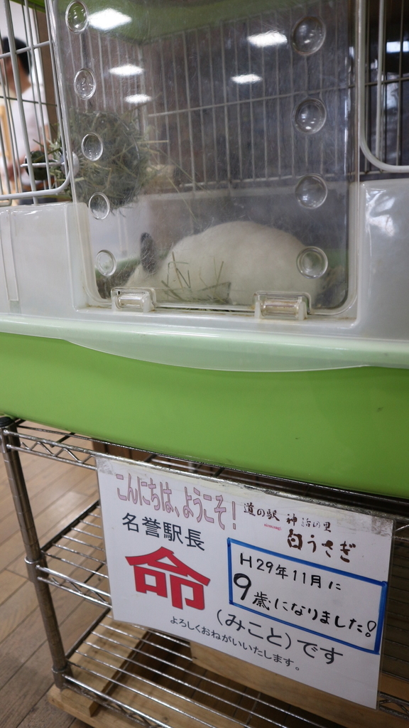 f:id:y-0711-yuuki:20180922205426j:plain