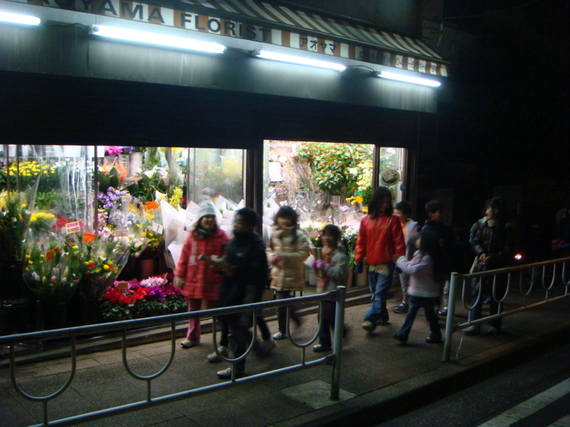 f:id:y-345:20091229193544j:image