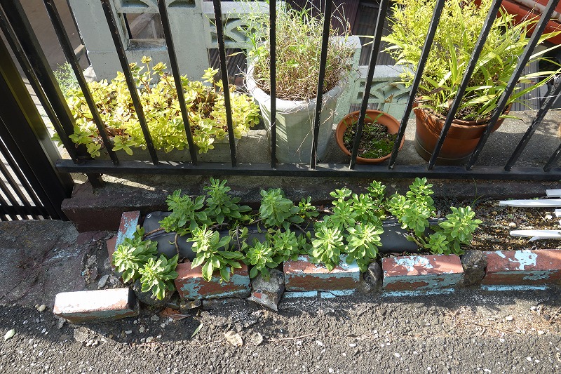 f:id:y-345:20210916161944j:plain