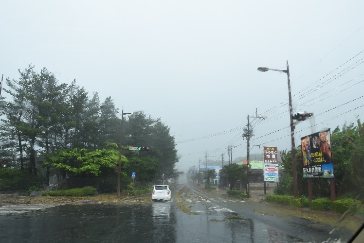 イメージ 6