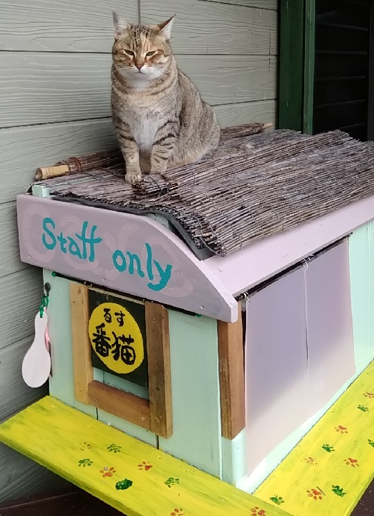 イメージ 1