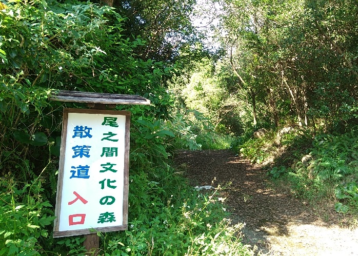 f:id:y-6kakudo:20191101220304j:plain f:id:y-6kakudo:20191101220304j:plain