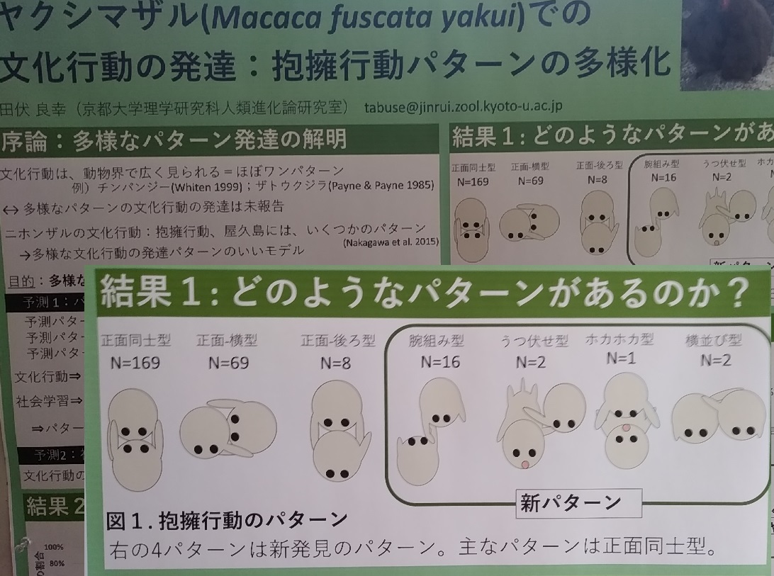 f:id:y-6kakudo:20191208194825j:plain f:id:y-6kakudo:20191208194825j:plain