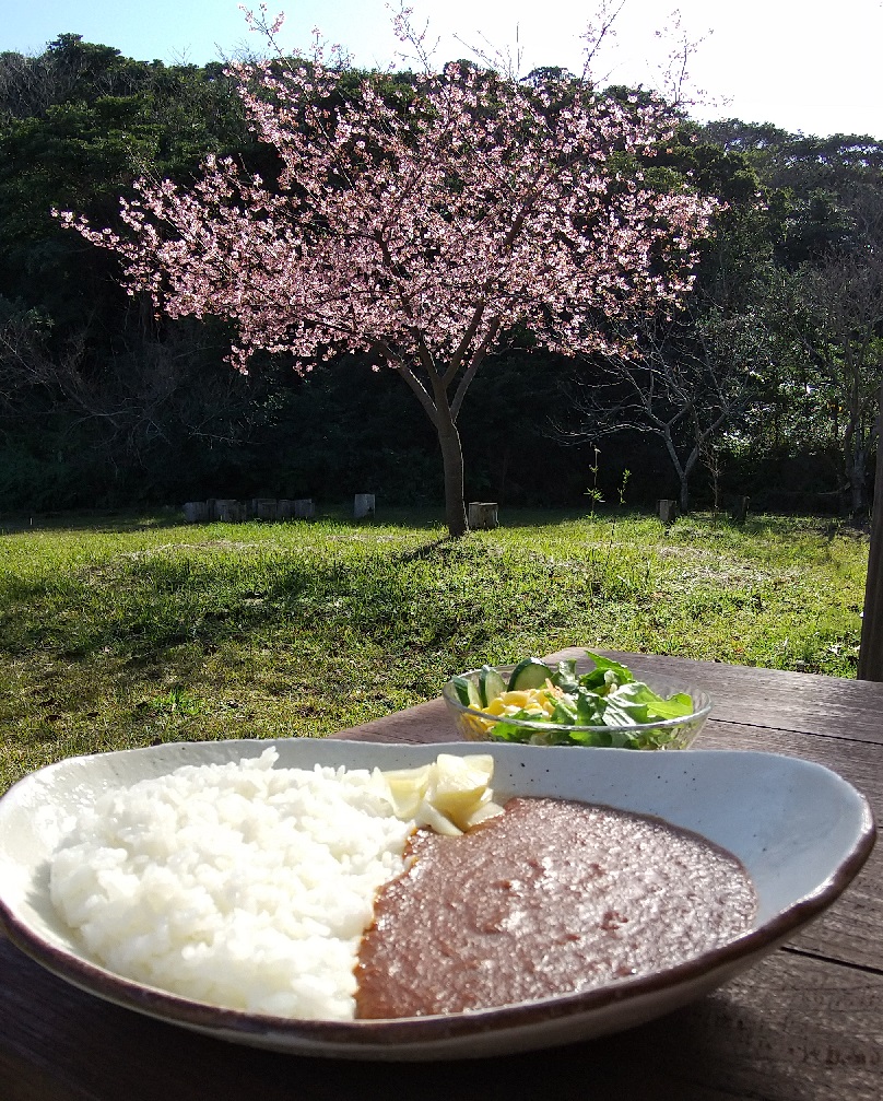 f:id:y-6kakudo:20200207130128j:plain f:id:y-6kakudo:20200207130128j:plain