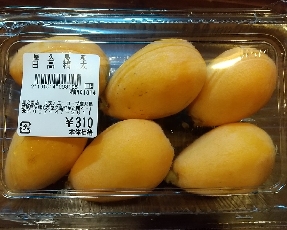 f:id:y-6kakudo:20200330024802j:plain f:id:y-6kakudo:20200330024802j:plain