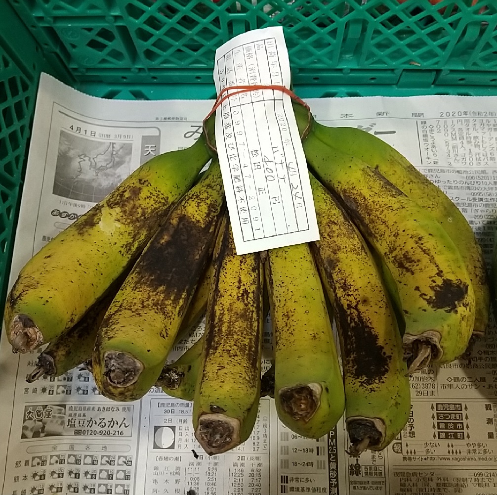 f:id:y-6kakudo:20200424122011j:plain f:id:y-6kakudo:20200424122011j:plain