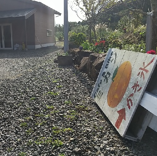 f:id:y-6kakudo:20201212223630j:plain