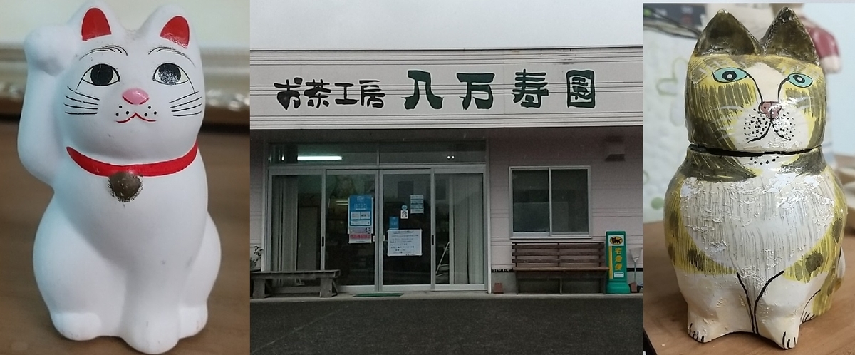 f:id:y-6kakudo:20201216181243j:plain