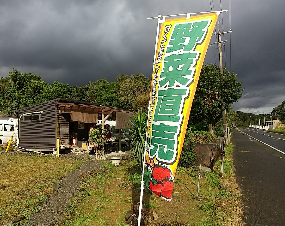 f:id:y-6kakudo:20201216182811j:plain