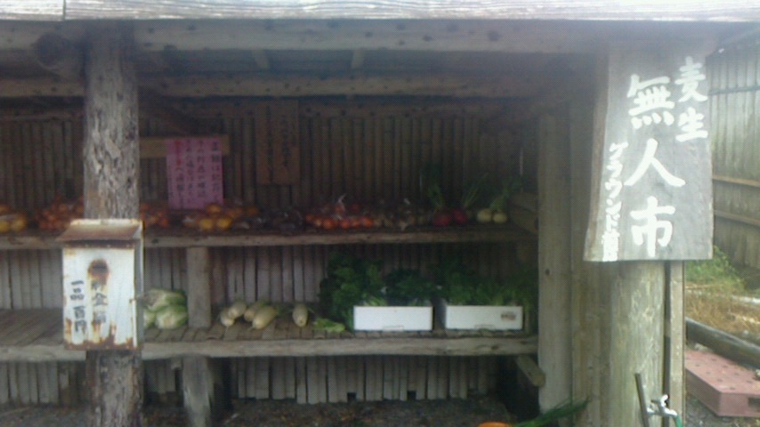 f:id:y-6kakudo:20201216212420j:plain