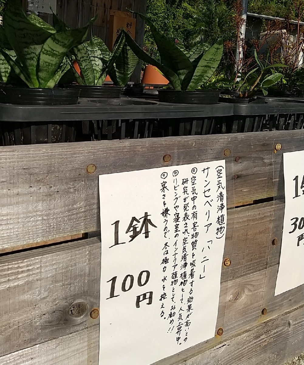 f:id:y-6kakudo:20201220111651j:plain