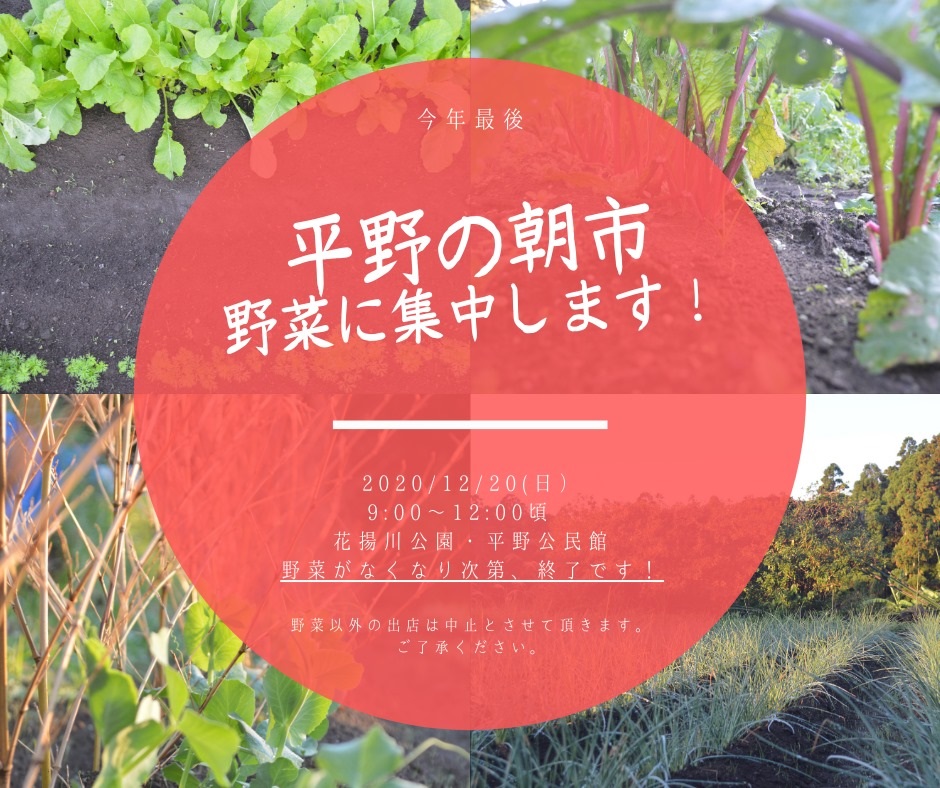 f:id:y-6kakudo:20201220114321j:plain