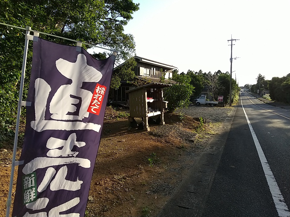 f:id:y-6kakudo:20201224154445j:plain