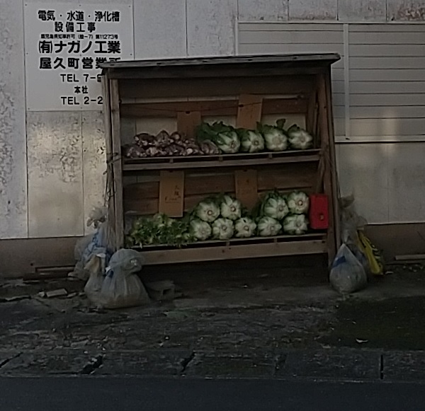 f:id:y-6kakudo:20201224160332j:plain