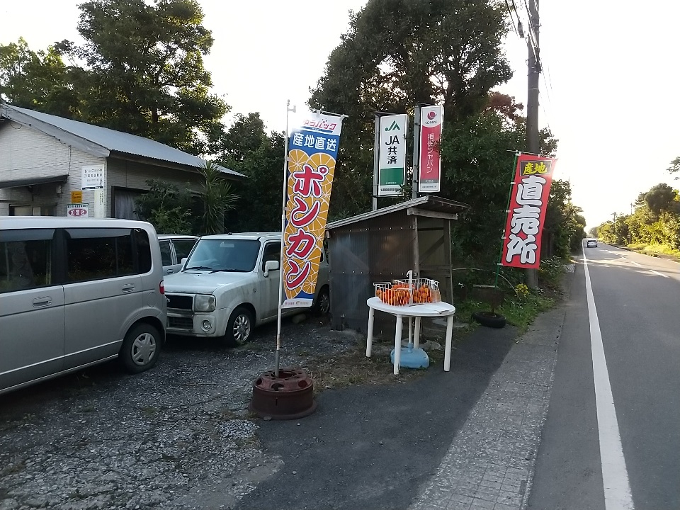 f:id:y-6kakudo:20201224161359j:plain