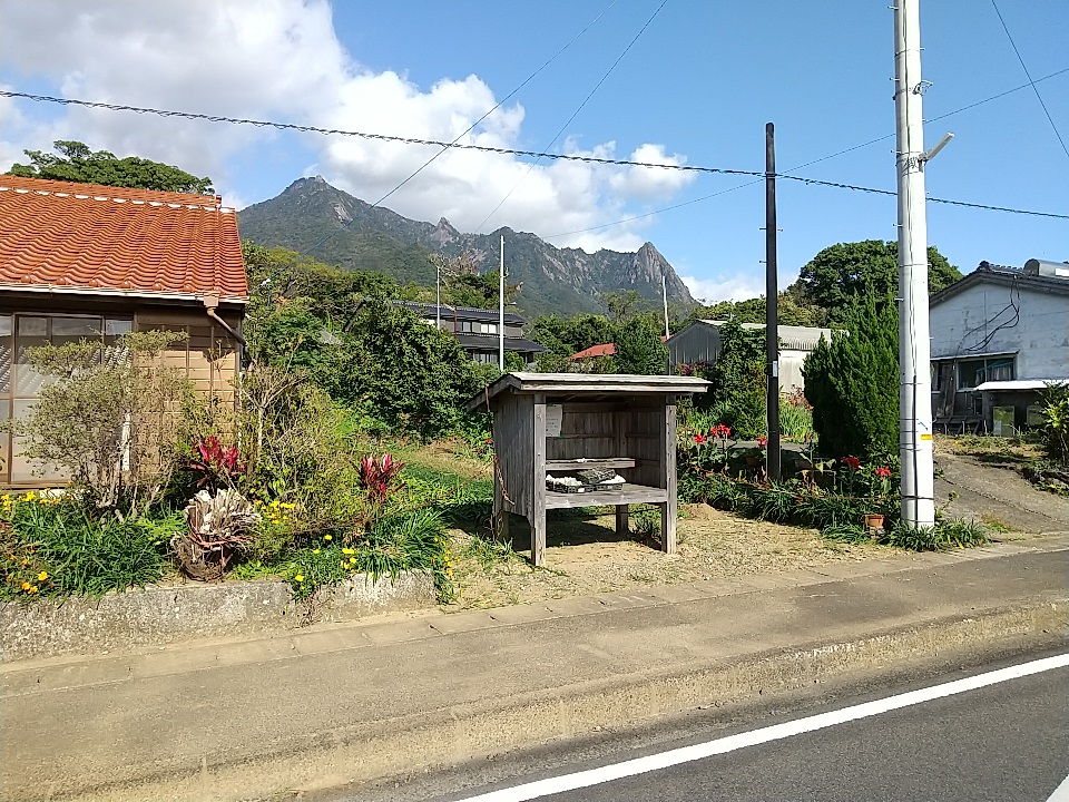 f:id:y-6kakudo:20201225133350j:plain