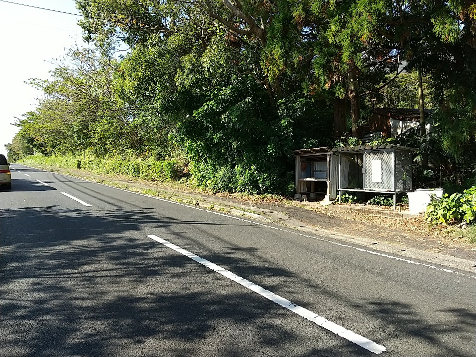 f:id:y-6kakudo:20201225134702j:plain