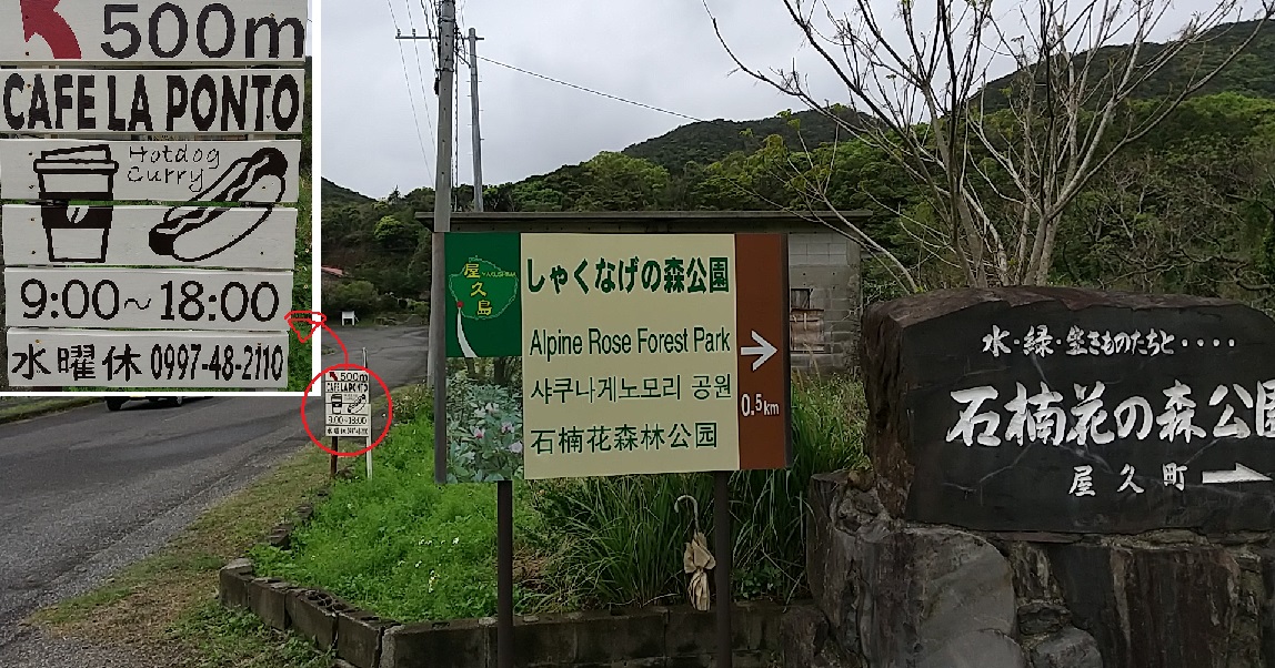 f:id:y-6kakudo:20210321182427j:plain