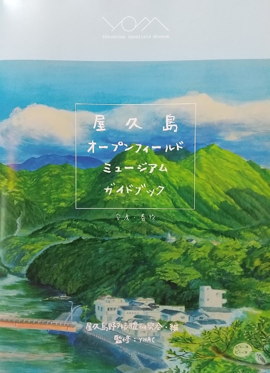 f:id:y-6kakudo:20210321183628j:plain
