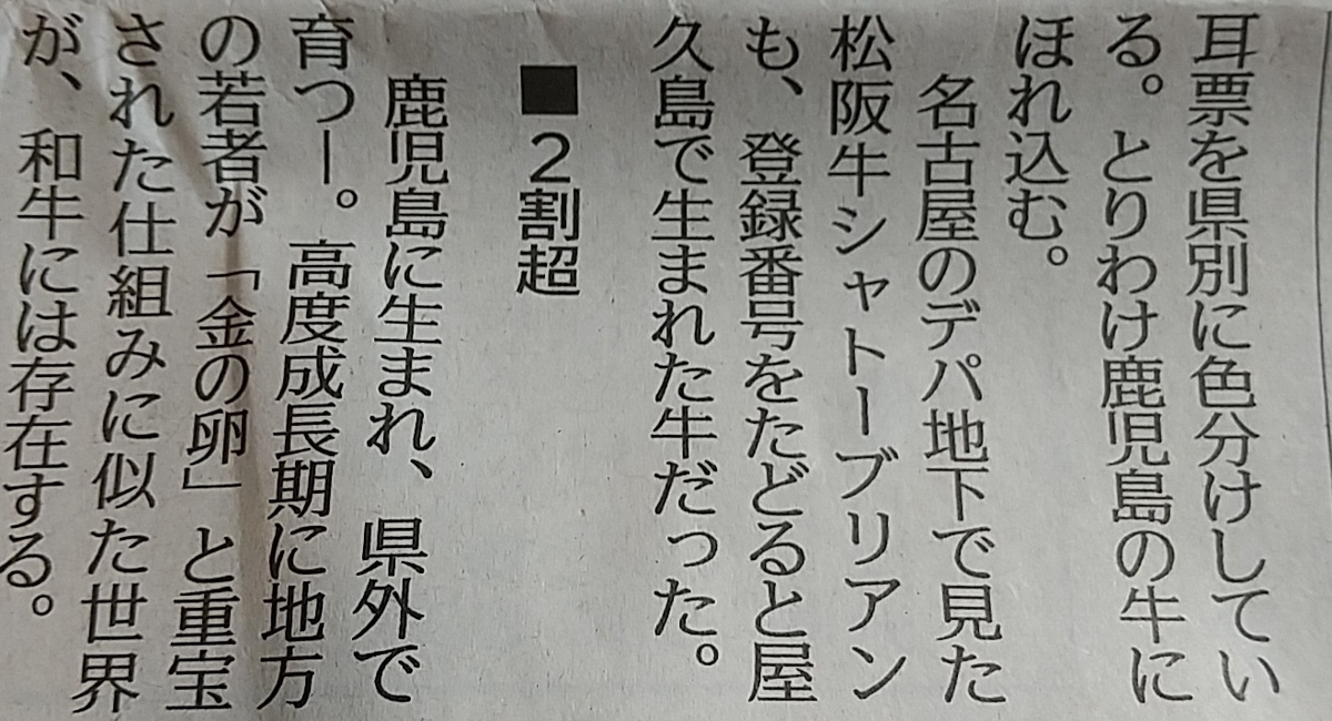 f:id:y-6kakudo:20220122221449j:plain
