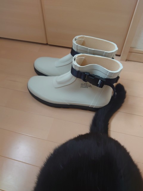 f:id:y-devotion:20210607084742j:plain