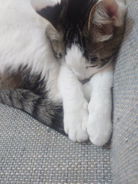 f:id:y-devotion:20220106134130j:plain