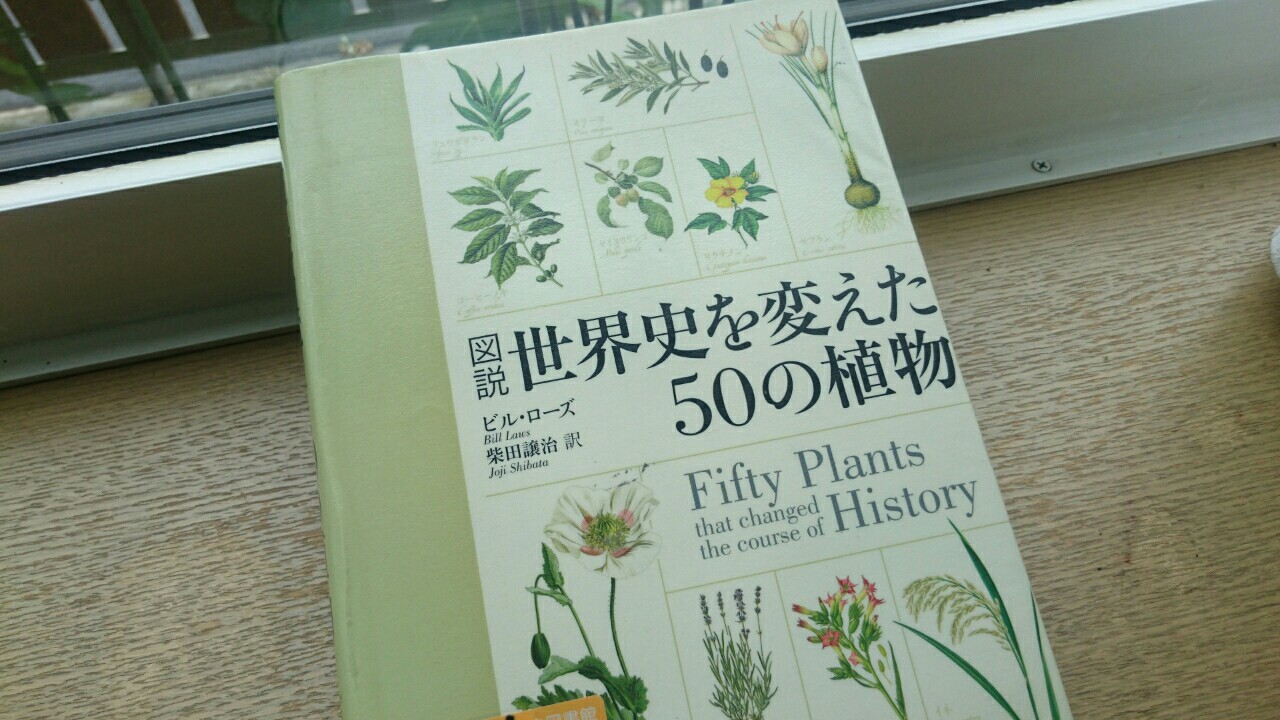 f:id:y-garden:20161121014654j:image f:id:y-garden:20161121014654j:image