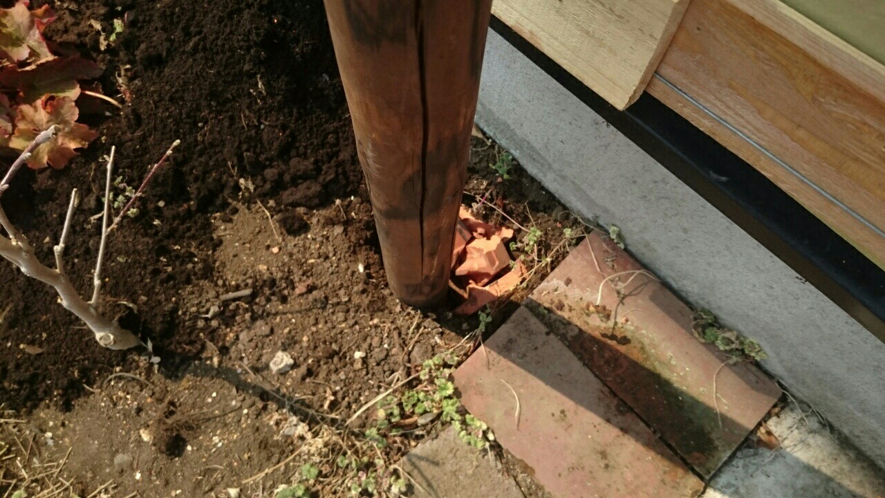 f:id:y-garden:20170319124542j:image f:id:y-garden:20170319124542j:image