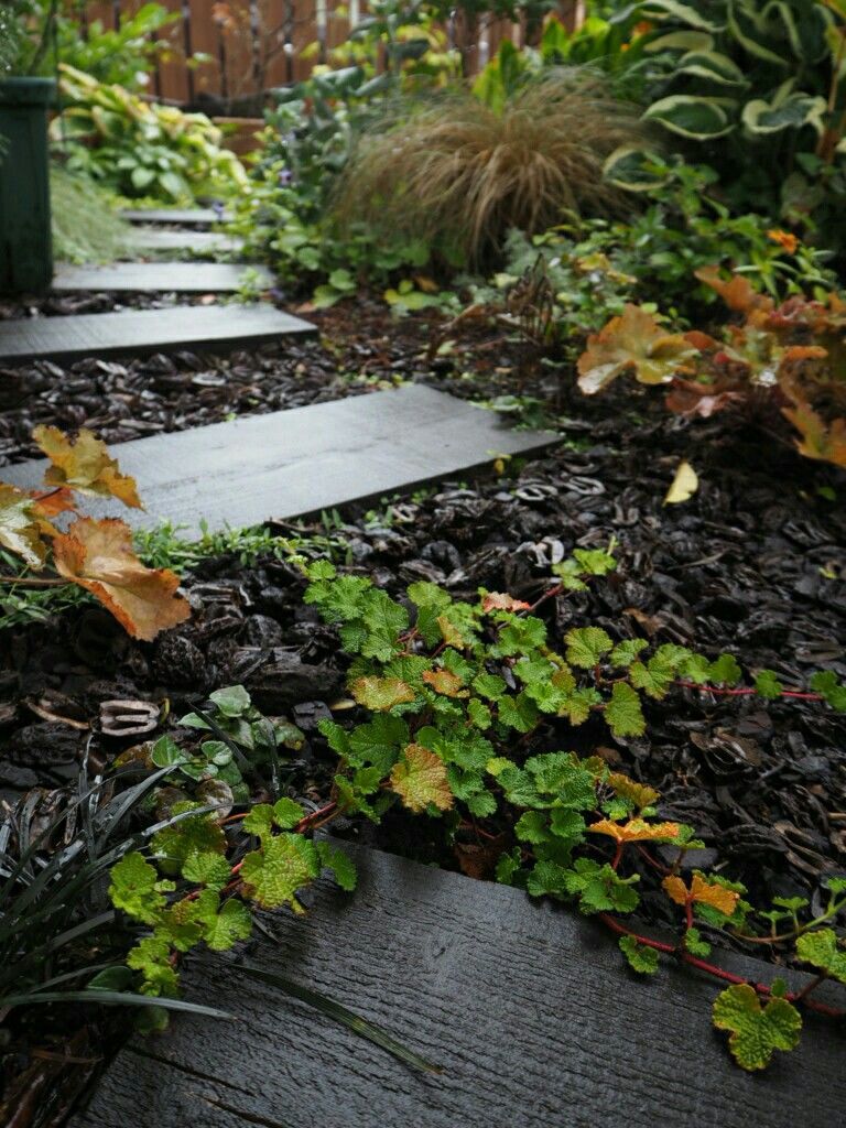 f:id:y-garden:20180907071842j:image