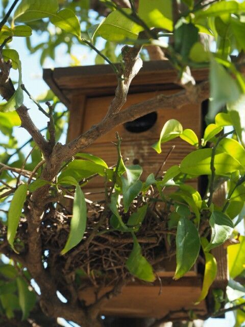 f:id:y-garden:20190122115916j:image f:id:y-garden:20190122115916j:image