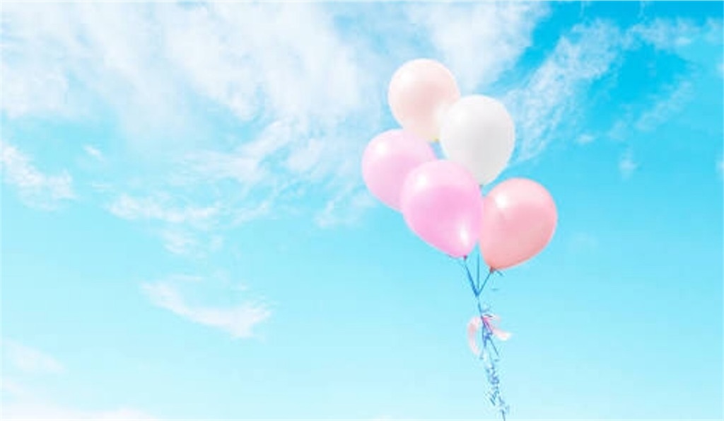 f:id:y-haruna-19980307:20190121005254j:image f:id:y-haruna-19980307:20190121005254j:image