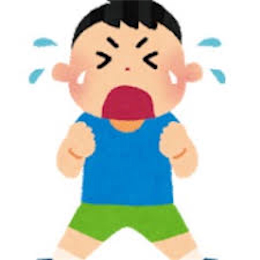 f:id:y-haruna-19980307:20190121130623j:image f:id:y-haruna-19980307:20190121130623j:image