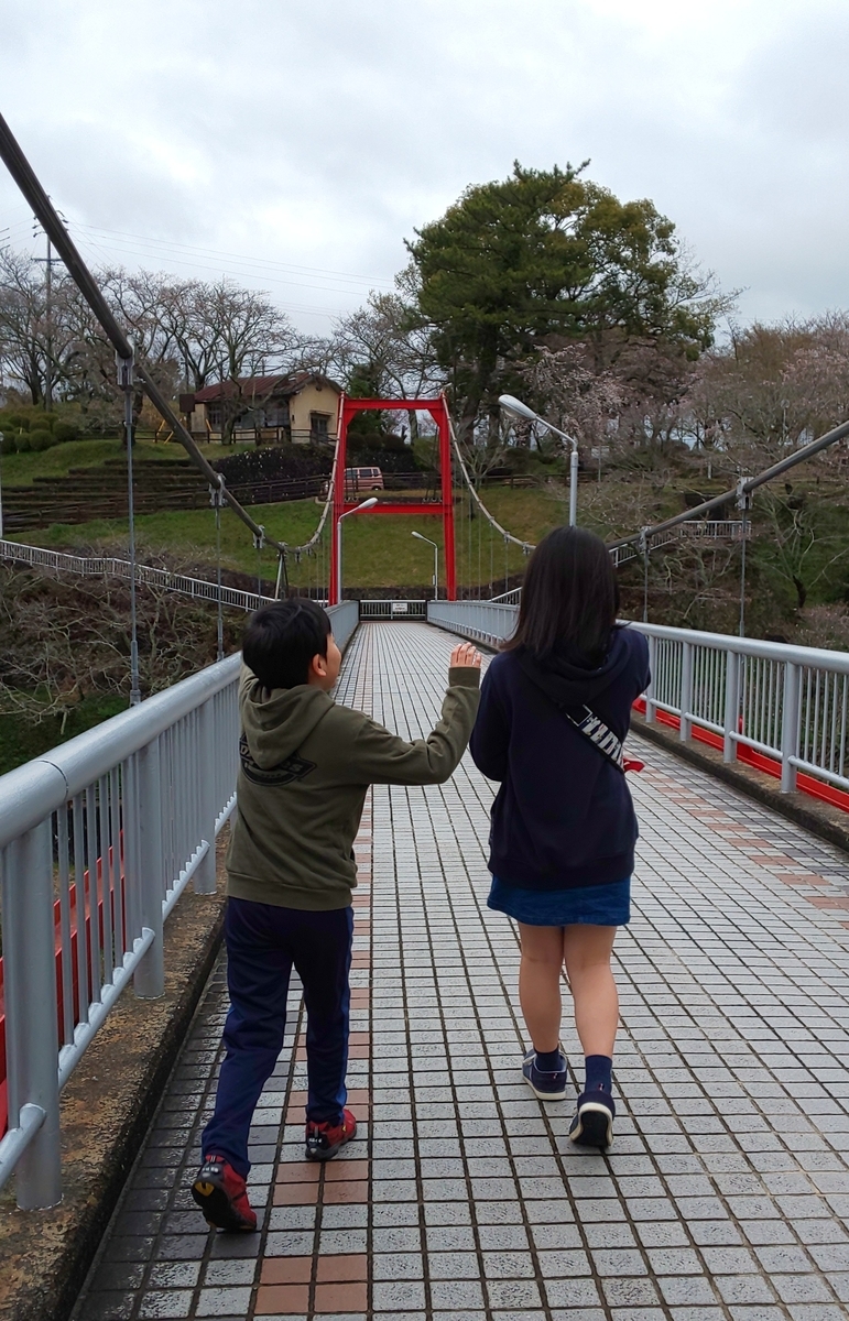 f:id:y-k-akado0725:20200708212715j:plain