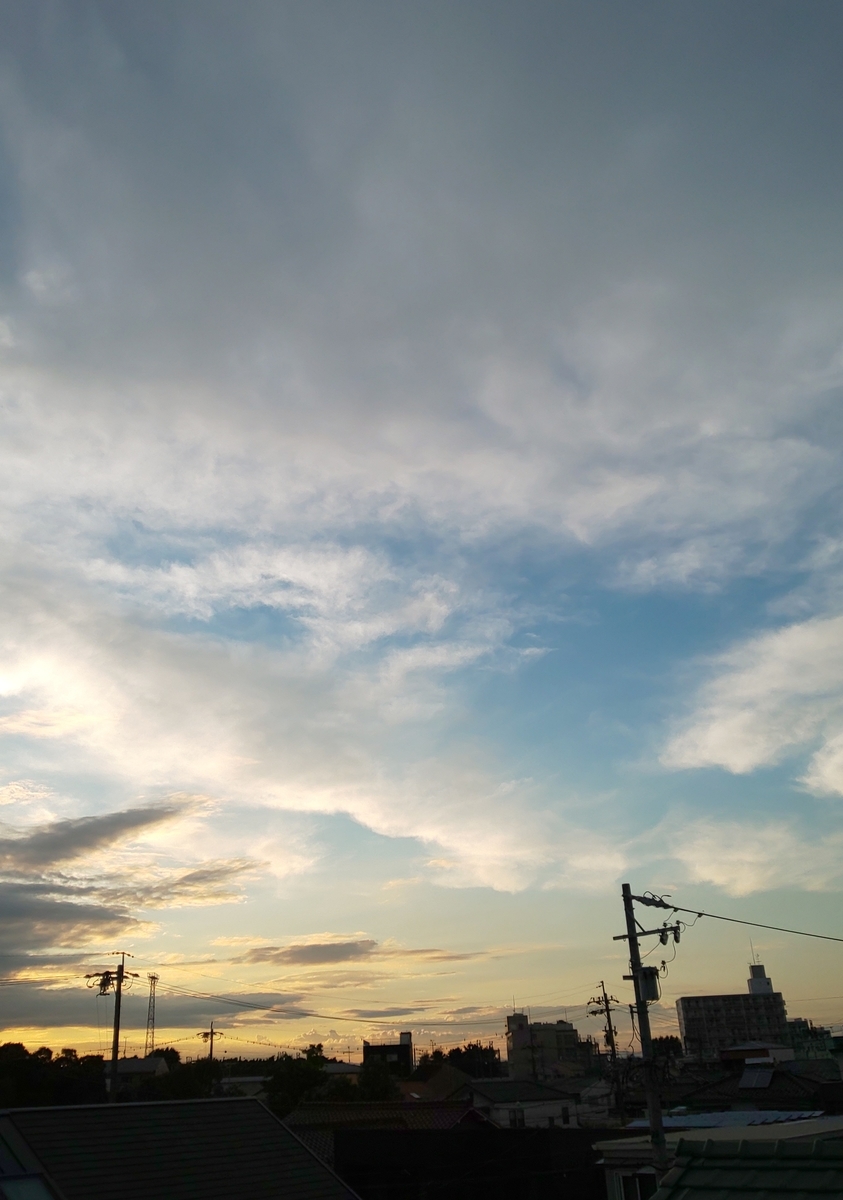 f:id:y-k-akado0725:20200716185149j:plain f:id:y-k-akado0725:20200716185149j:plain
