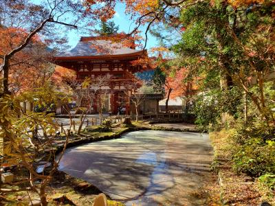 f:id:y-kamaji:20200219212419j:plain