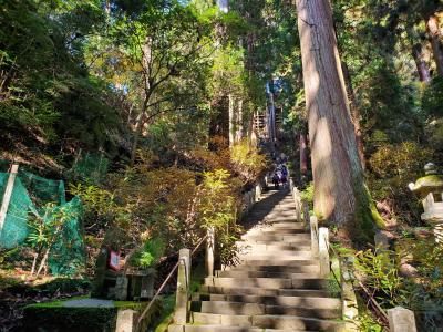 f:id:y-kamaji:20200219212441j:plain