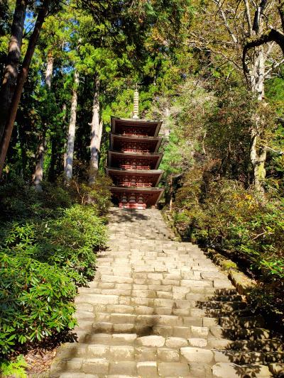 f:id:y-kamaji:20200219212503j:plain