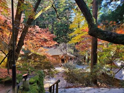 f:id:y-kamaji:20200219212518j:plain