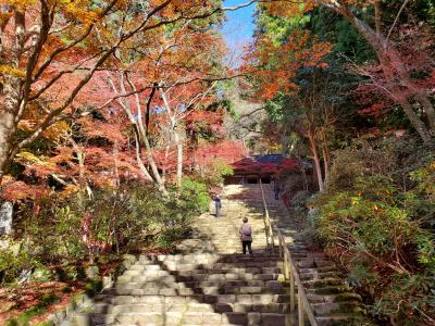 f:id:y-kamaji:20200219212531j:plain