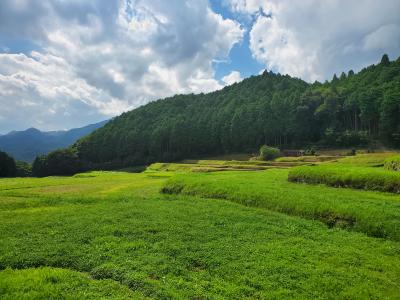 f:id:y-kamaji:20200813160642j:plain f:id:y-kamaji:20200813160642j:plain