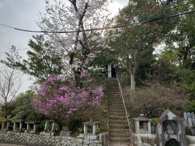 f:id:y-kamaji:20210405083430j:plain