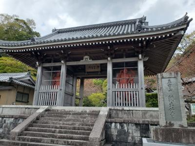 f:id:y-kamaji:20210426172545j:plain